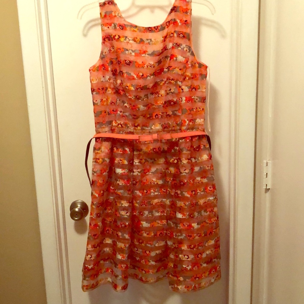 Danny and Nicole dress